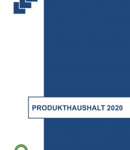 haushalt-2020-final
