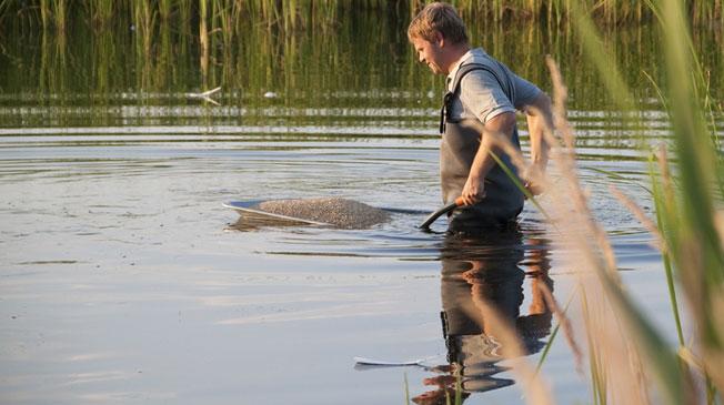 Mann in Teich