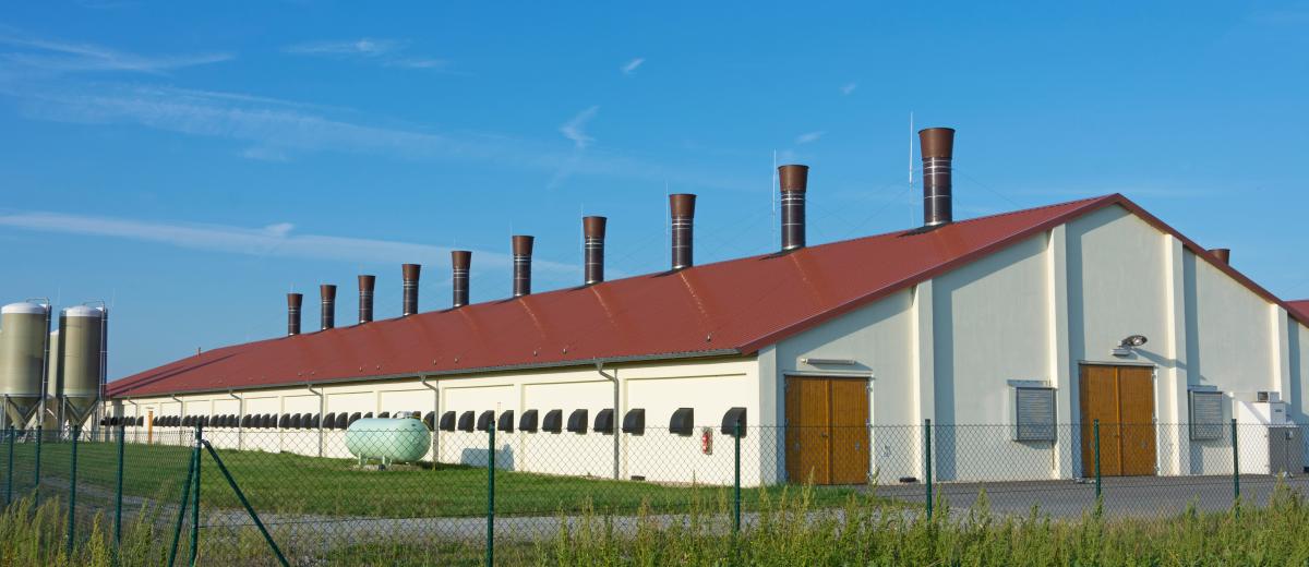 Moderner Maststall Moderner Maststall
