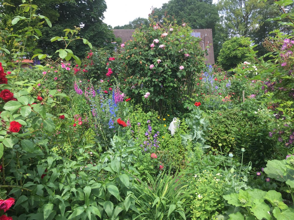 Blumenwiese Blumenwiese