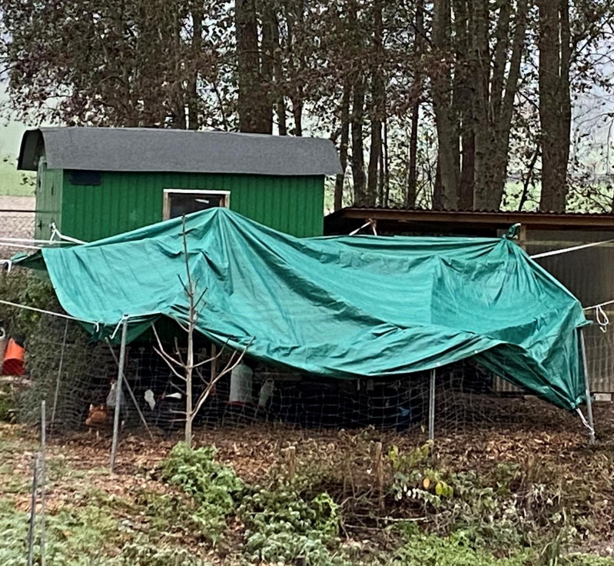 Vogelgrippe Schutzabdeckung Hühnerstall