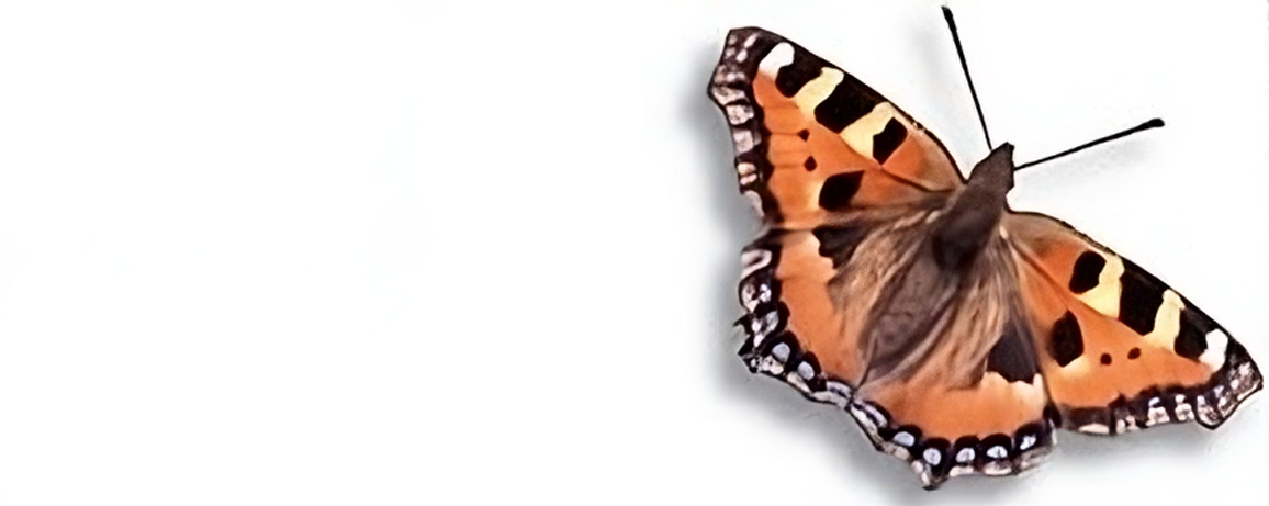 Logo Naturschutzstiftung