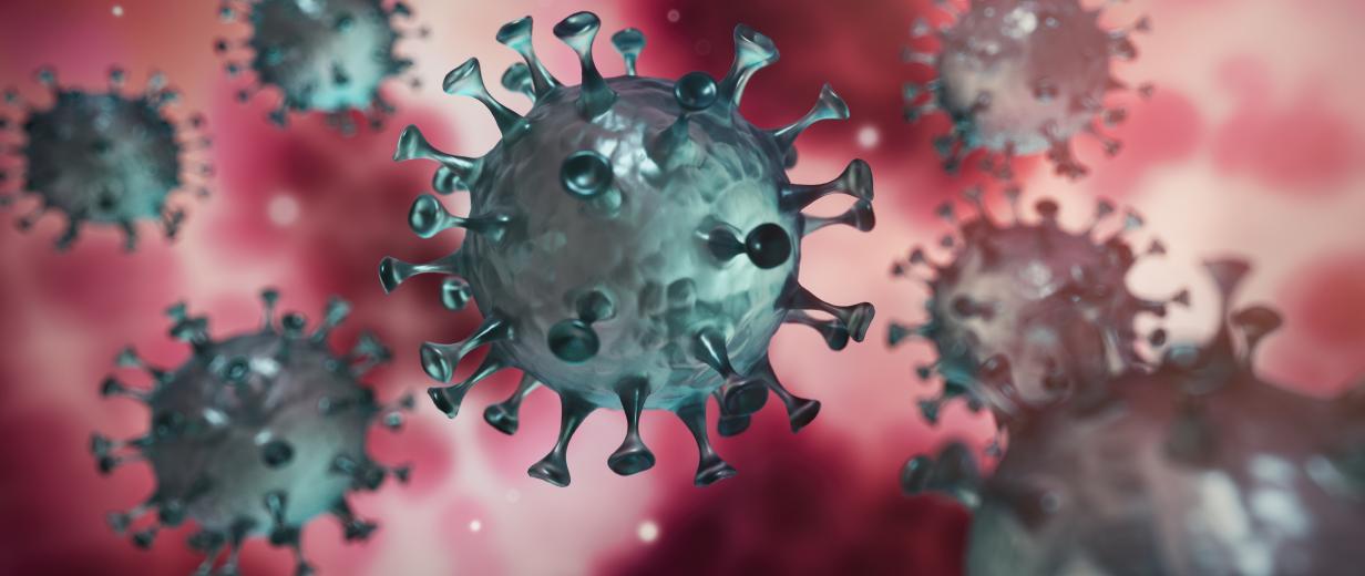 Modell des Coronavirus Modell des Coronavirus