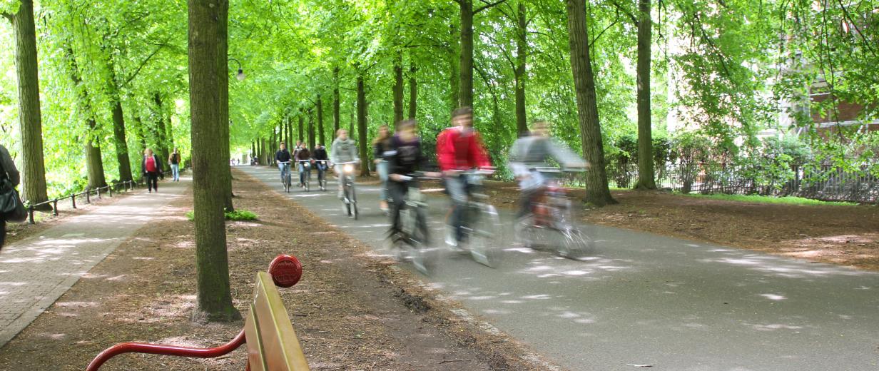 Radfahrer im Grünen