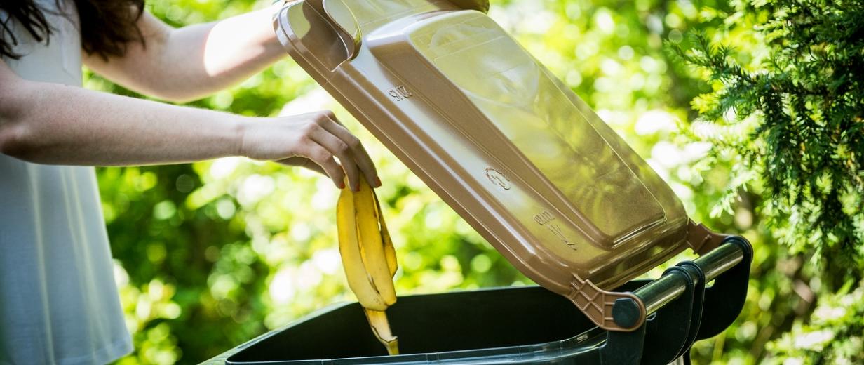 AWIGO Sommertipps Biotonne Eine Person wirft eine Bananenschale in eine Biotonne.