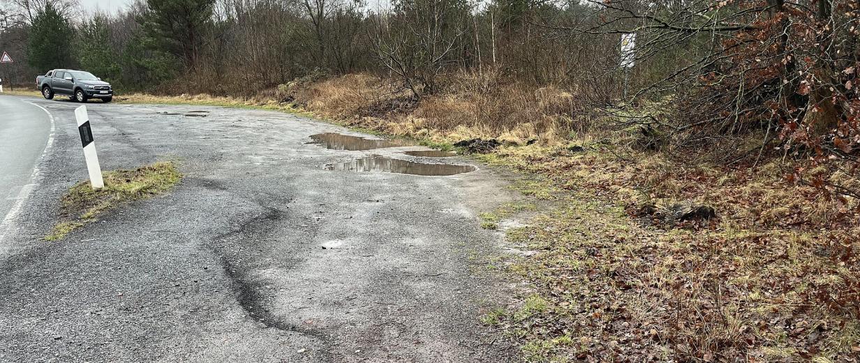 Wersener Heide Randstreifen Randstreifen neben einer Straße