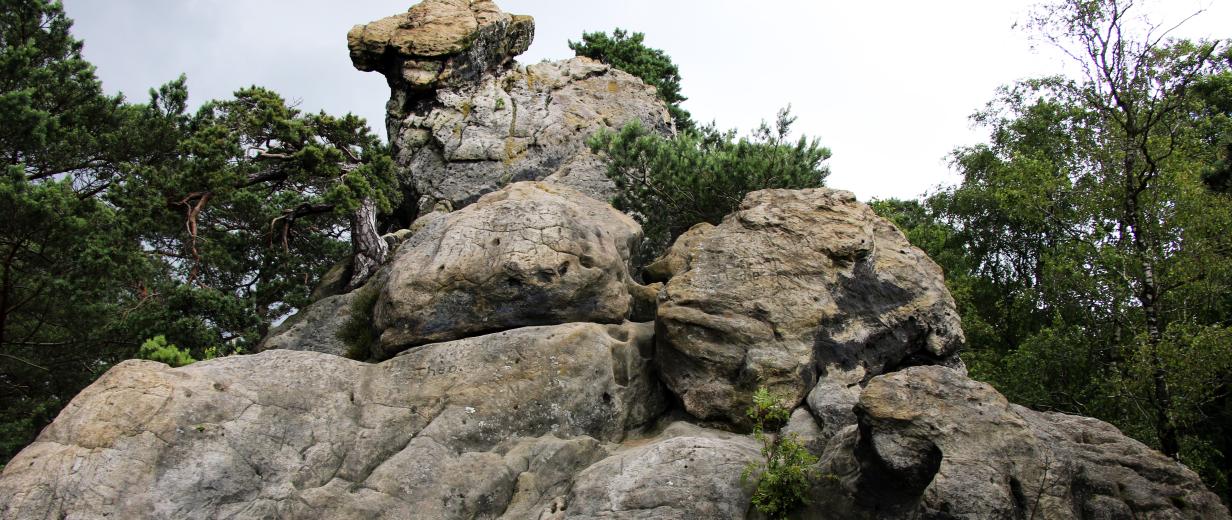 Dörenther Klippen, terra.vita Eine Felsenformation vor Bäumen