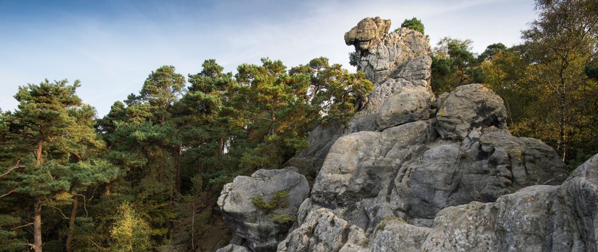 Dörenther Klippen Felsformation mit Bäumen im Hintergrund