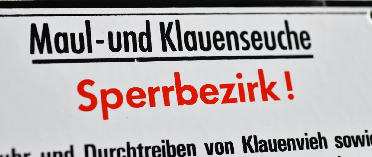 Sperrbezirk Maul- und Klauenseuche Warnschild für einen Maul- und Klauenseuche Sperrbezirk
