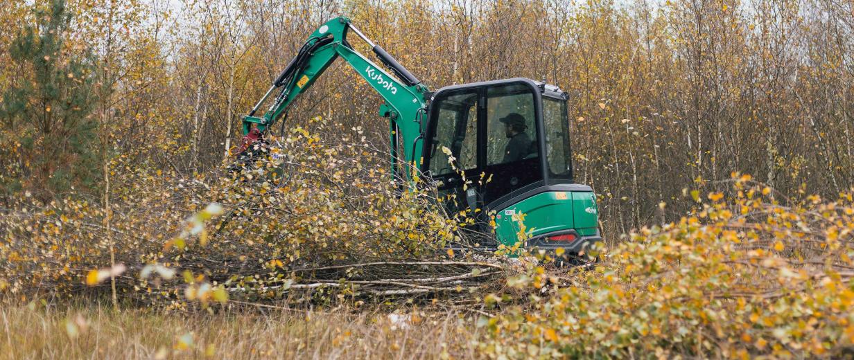 Venner Moor Minibagger auf einer Lichtung
