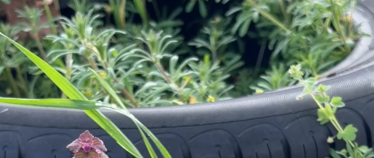 Autoreifen in Landschaft