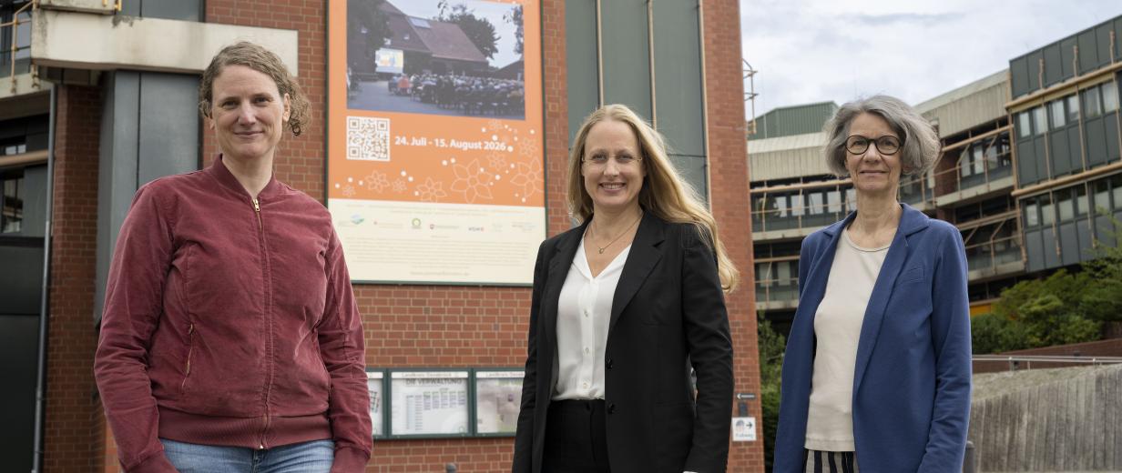 Sommerflimmern bringt das Kino zurück aufs Land