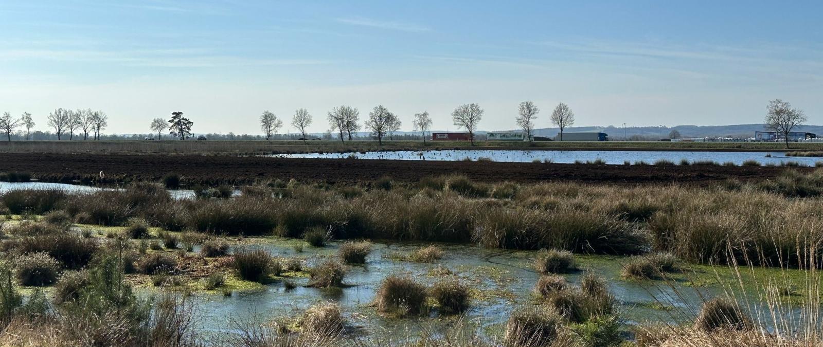 Landschaft Moor