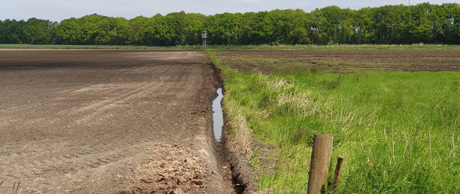 Moorlandschaft