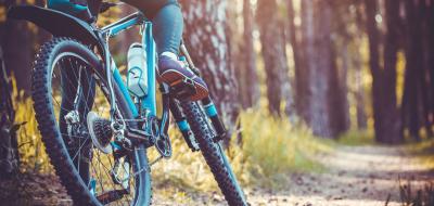 Mountainbike im Wald