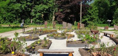 Blick in einen Park