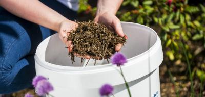 Zwei Hände halten Mulch über einem Plastikeimer.