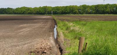 Moorlandschaft