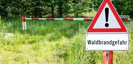 Schild Waldbrandgefahr im Wald