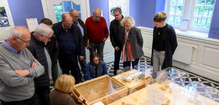 Personengruppe betrachtet Ausstellungsstücke.