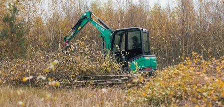 Minibagger auf einer Lichtung
