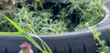 Autoreifen in Landschaft