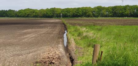 Moorlandschaft
