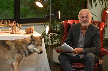 Eine Person sitzt in einem Sessel neben einem präparierten Wolf.