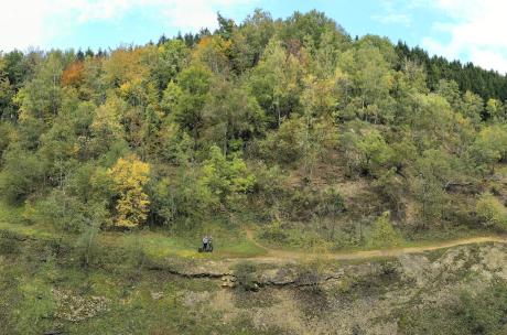 Hüggel, Hasbergen, Silbersee Blick auf einen Waldsee