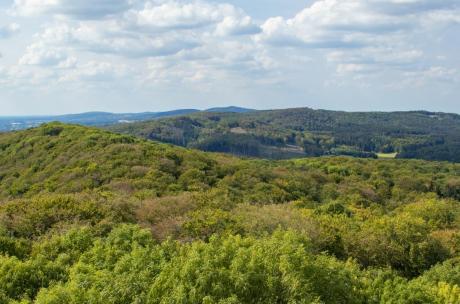 Teutoburger Wald