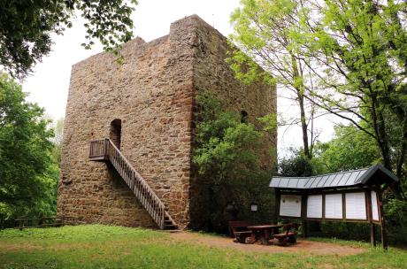 Burgruine