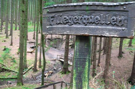 Wegweiser aus Holz im Wald