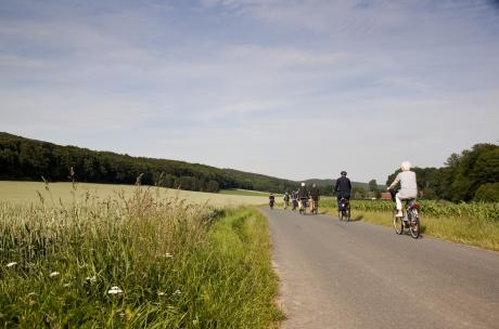 Radfahrer zwischen Wiesen