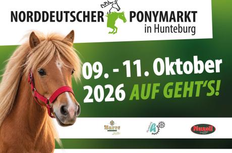 Pony