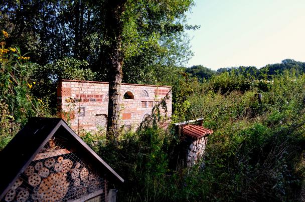 im Park von Schloss Ippenburg