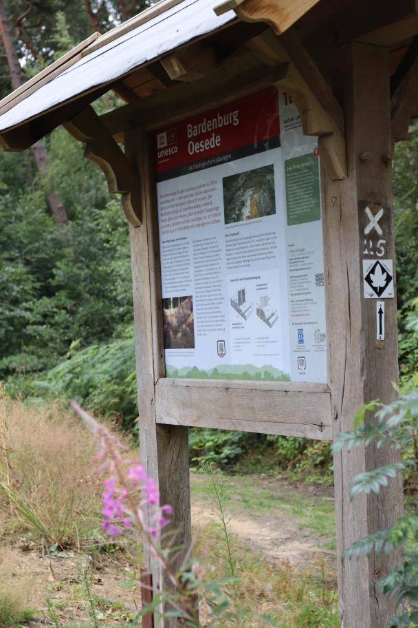 Infotafel Bardenburg Oesede Eine hölzerne Infotafel steht am Rand eines Waldweges.
