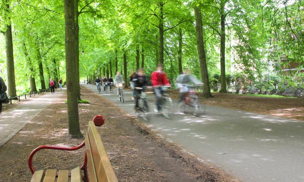 Radfahrer im Grünen