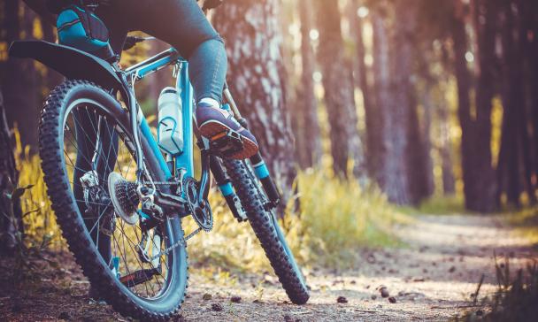 Mountainbike im Wald