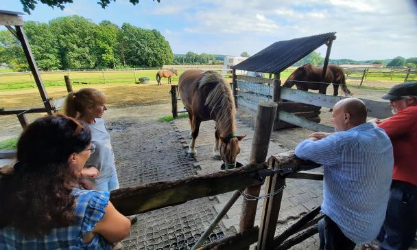 Vier Personen stehen an einer Pferdelokal.