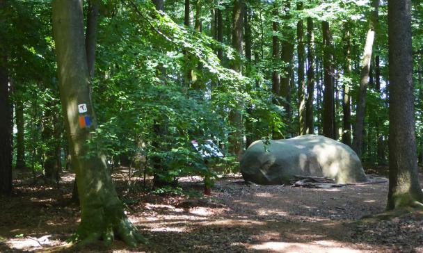 Abbildung eines Findlings