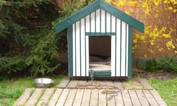Hundehütte
