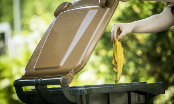 Abbildung einer Biotonne