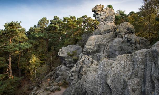 Felsformation mit Bäumen im Hintergrund
