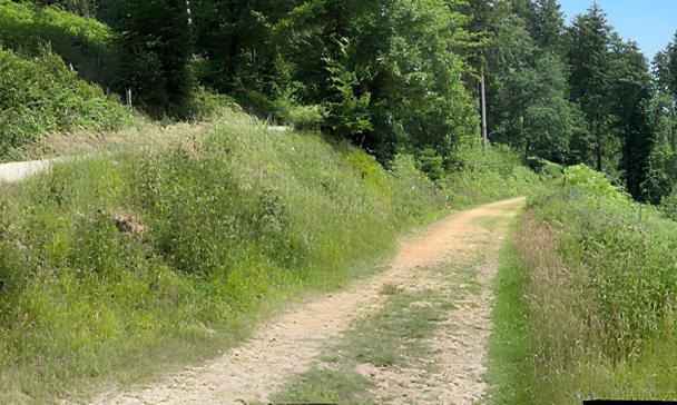 Landschaftsbild Georgsmarienhütte