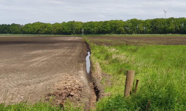 Moorlandschaft