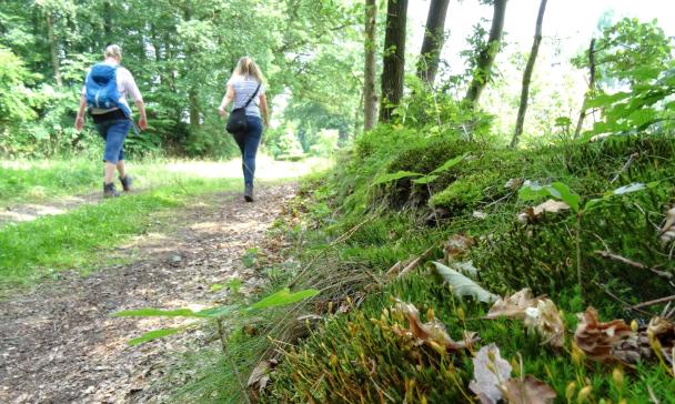 Wanderweg