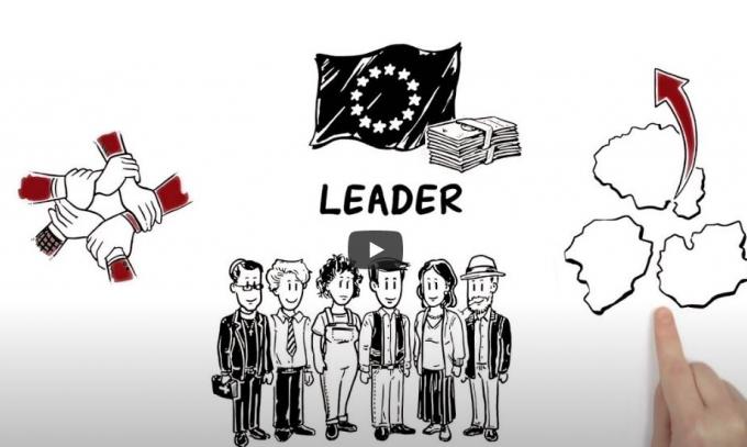 LEADER