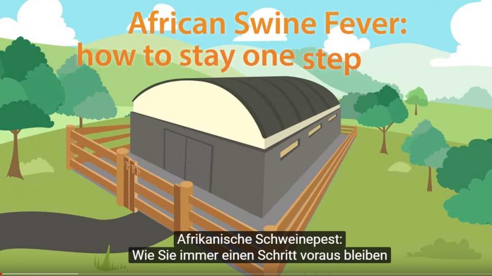 Afrikanische Schweinepest